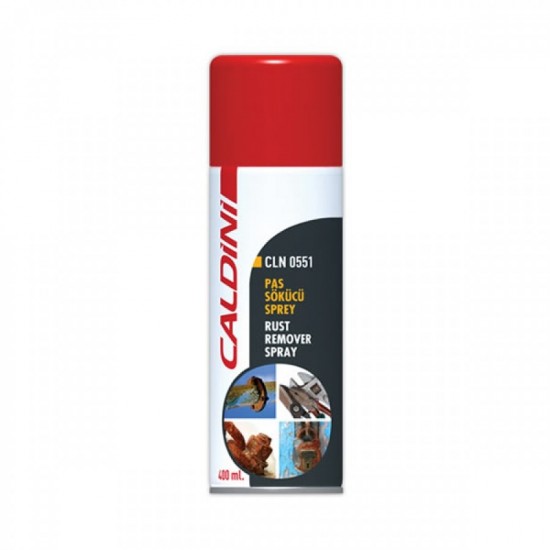 CALDİNİ PAS SÖKÜCÜ SPREY 400 ML